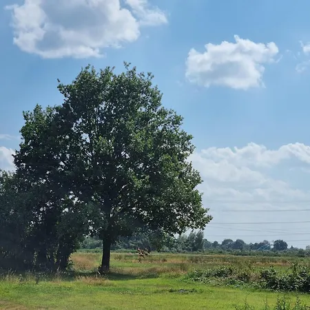 Appartement Am Fehntjer Tief *